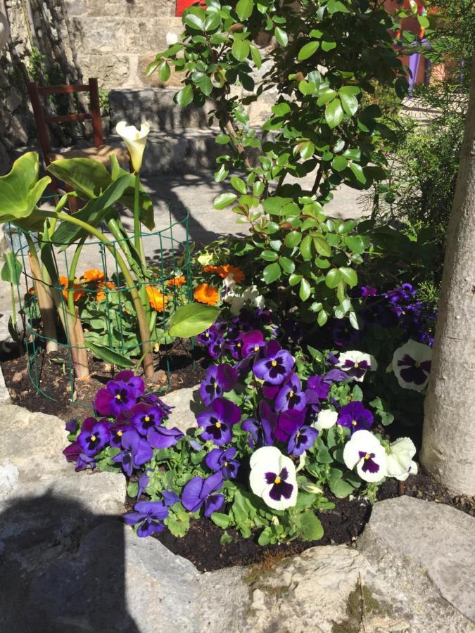 La Cle Des Songes Bed & Breakfast Claviers Exterior photo